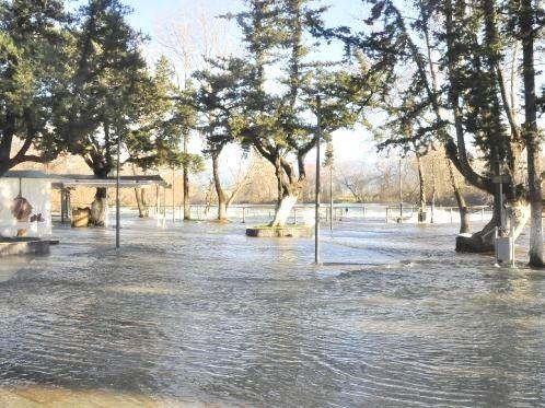 Bäume stehen im Hochwasser