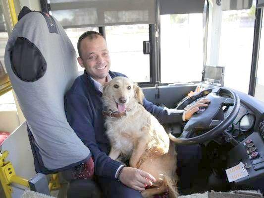 Busfahrer mit Hund auf dem Schoss