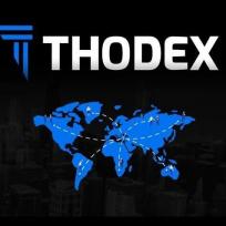 Türkei: Mit "Thodex" in die Pleite