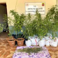 Antalya: Jandarma riecht Drogen