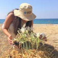 Gazipasa: Sandlilien nicht pflücken