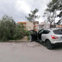 Manavgat: Auto fährt Baum um