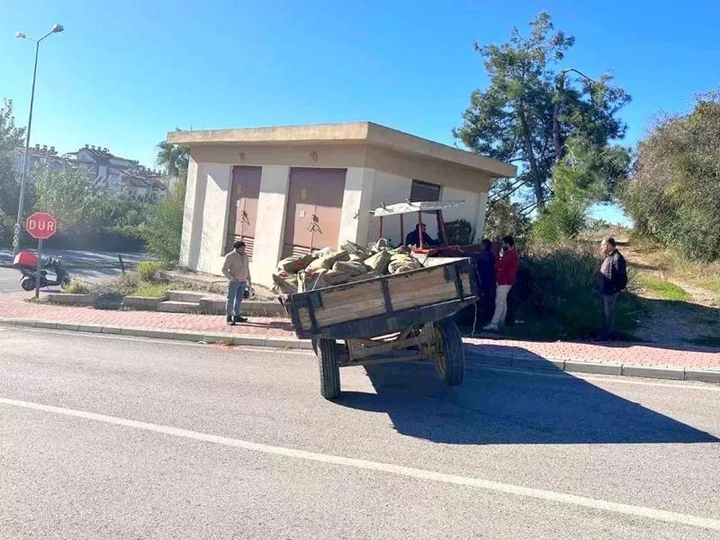 2023-22-Manavgat-Trecker-rammt-Trafo-Haus