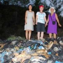 Demirtas: 40 tote Hunde im Müll